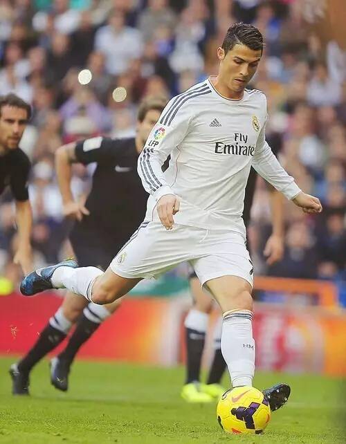 在初期试举 在初期试举